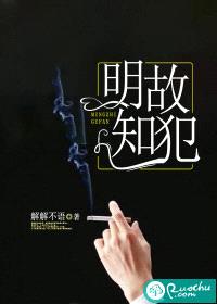 明知故犯封面