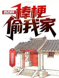 四合院：棒梗偷我家封面